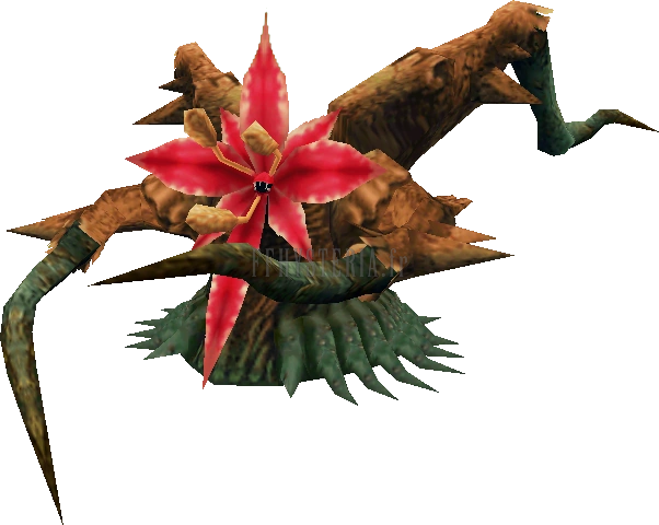 Cerveau-Plante