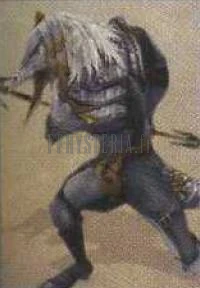 Rinok