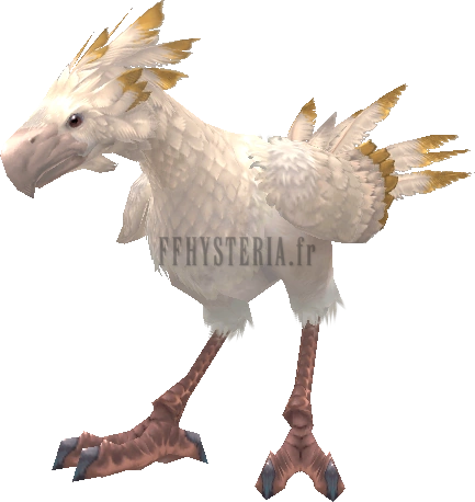 Chocobo vengeur