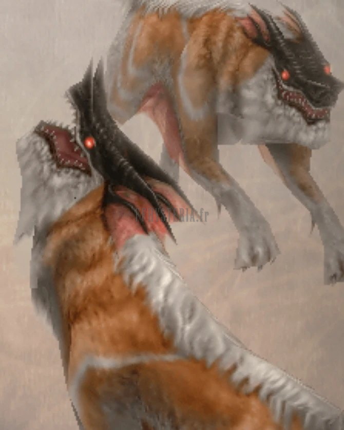 Loup alpha