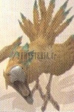 Chocobo brun