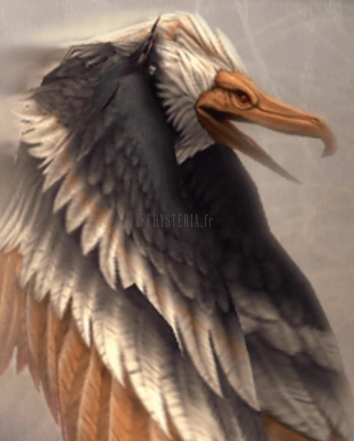 Aigle plongeur
