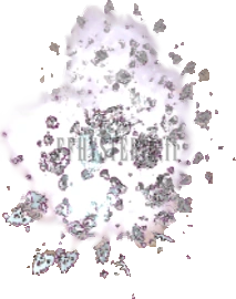 Aze de glace
