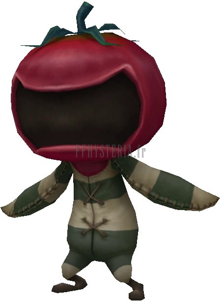 Capitaine tomate