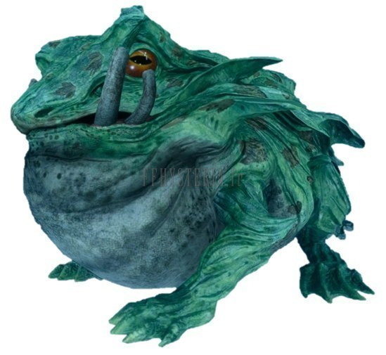 Attraper une grenouille