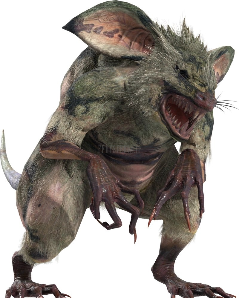 Rat géant